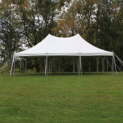 20x30 Pole 1767741279 Nickel Party Package w/ White Chairs (Grass Only)
